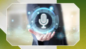 voice search in seo