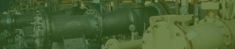 digital marketing for Pet Transportation