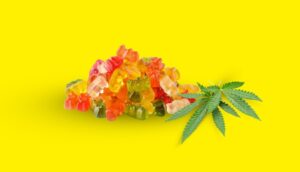Rankingeek's work for Hemp-Based Products Company