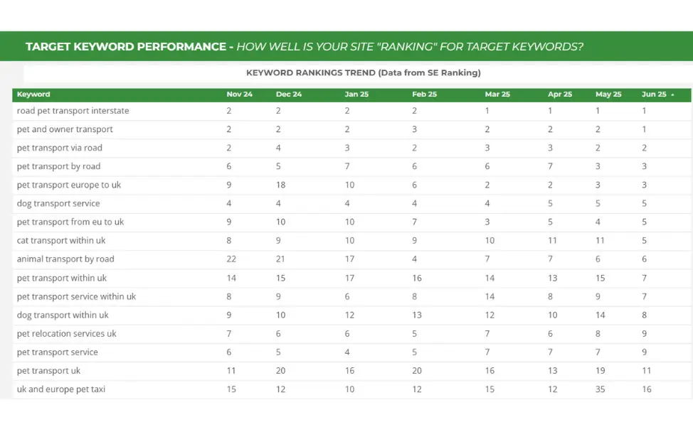 Keyword Ranking Analysis for Pet Transport Company